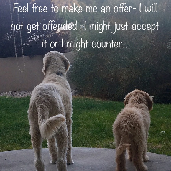 Meet your Posher, Maile - Picture 1 of 6